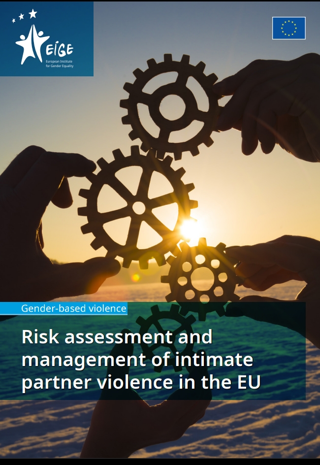 Le linee guida e le raccomandazioni dell’EIGE nella valutazione del rischio